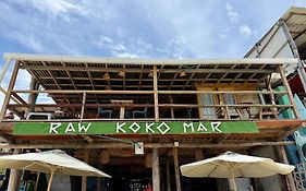 Raw Kokomar Casanativa